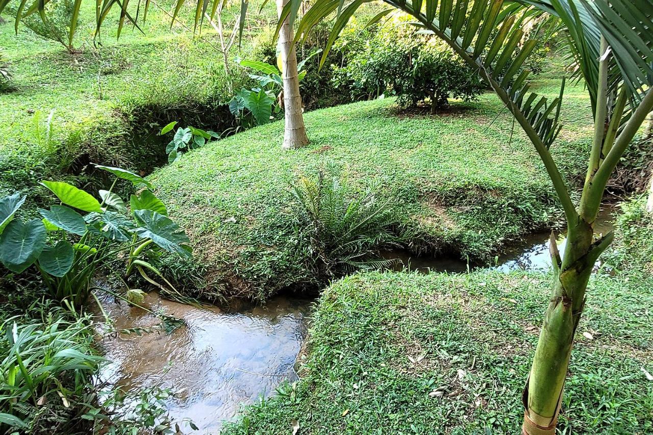Chalé imerso na Natureza! Sao Bonifacio Exterior foto