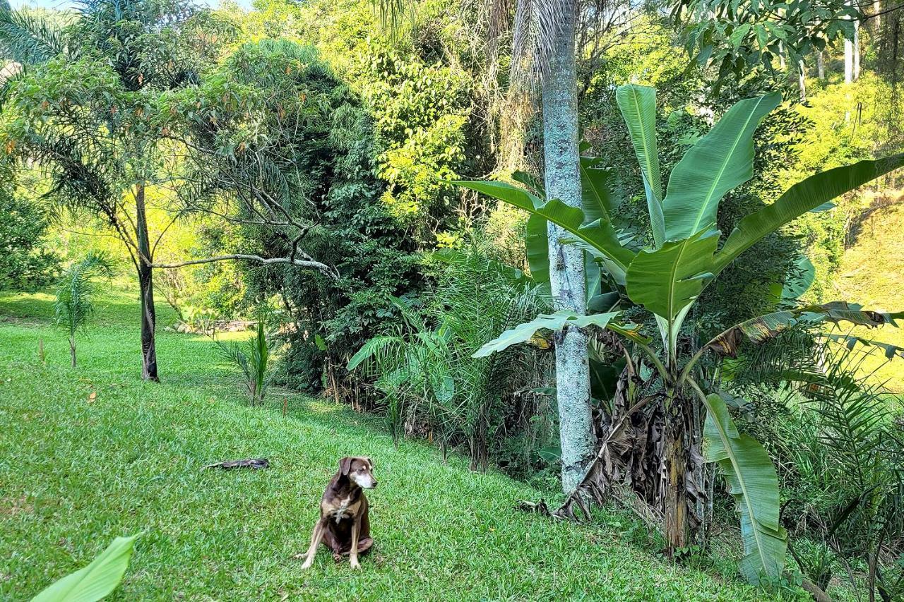 Chalé imerso na Natureza! Sao Bonifacio Exterior foto