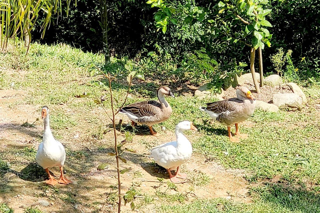Chalé imerso na Natureza! Sao Bonifacio Exterior foto