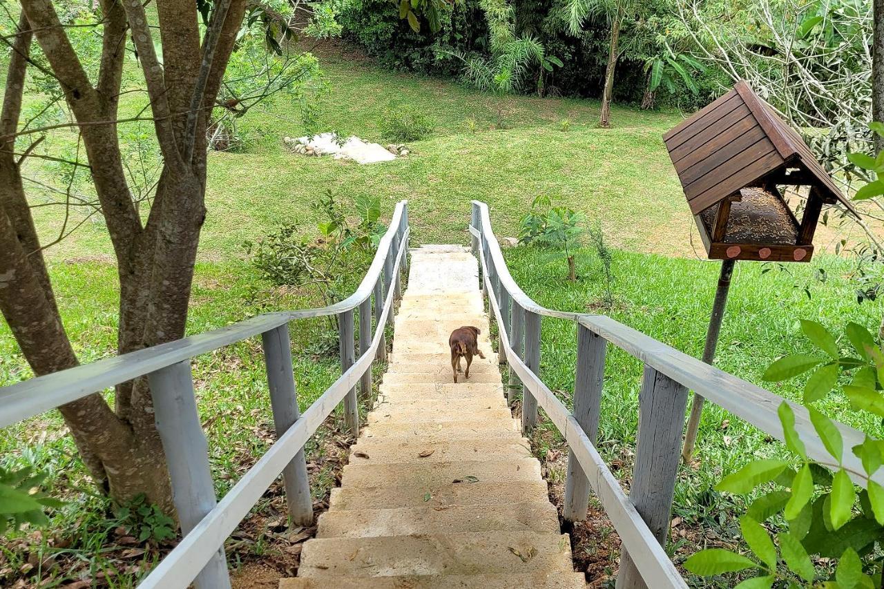 Chalé imerso na Natureza! Sao Bonifacio Exterior foto